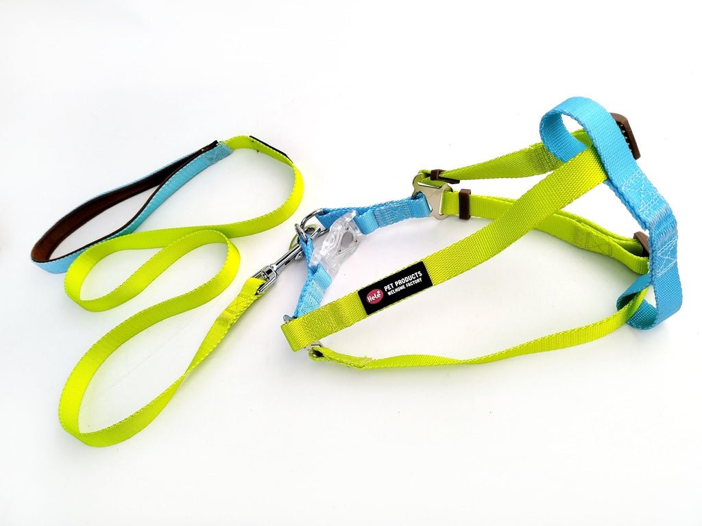 Urban Collection Bundle