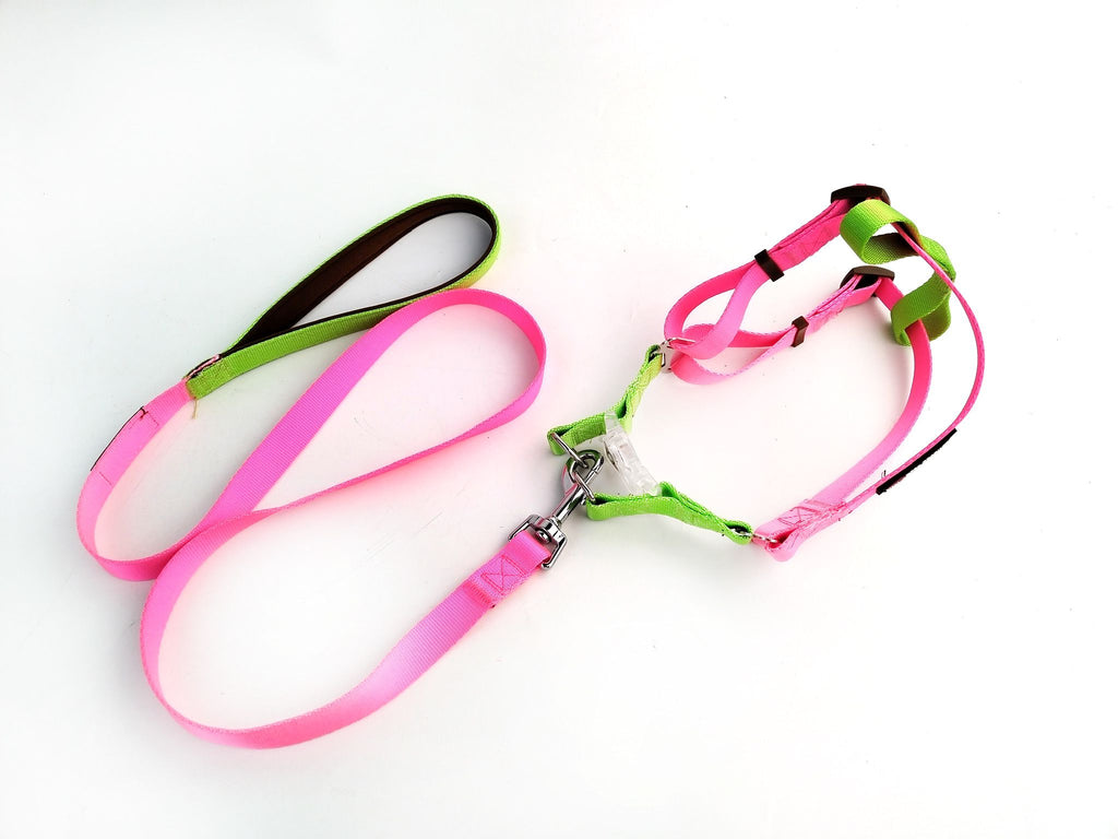 Urban Collection Bundle