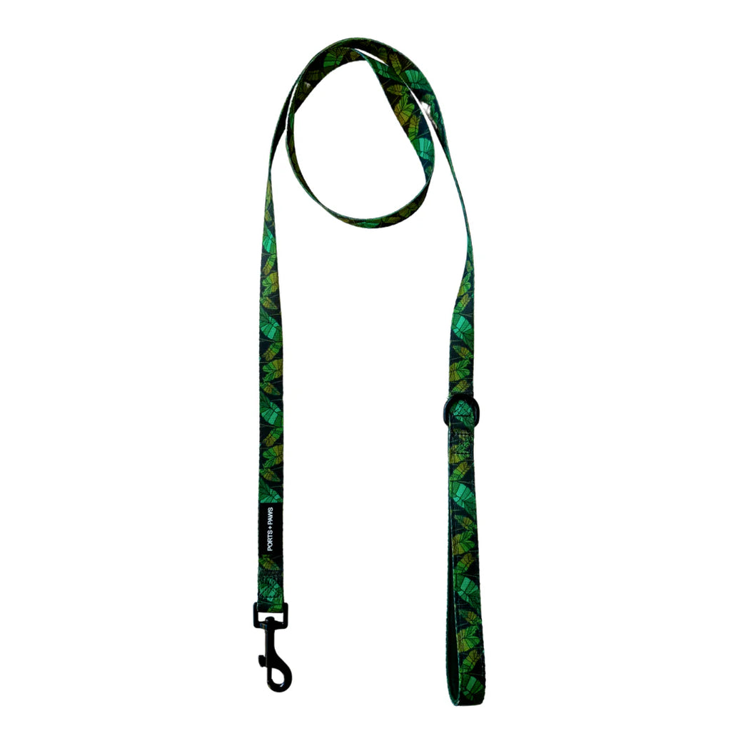 Kalo Leash