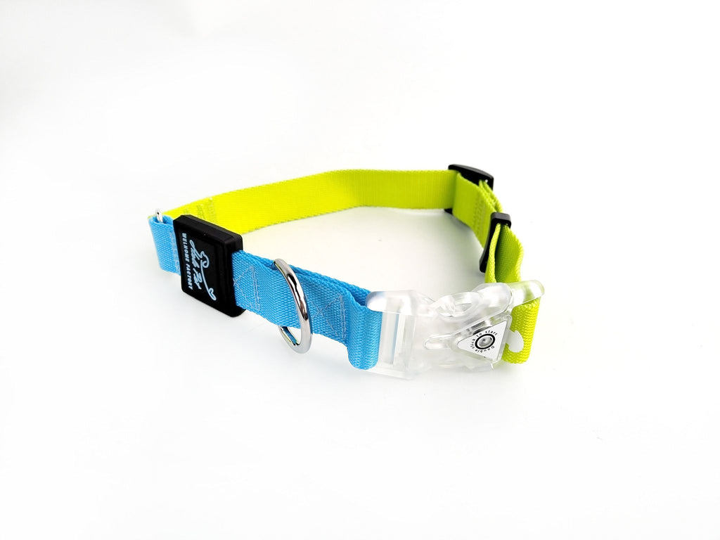 Two-tone blue and yellow dog collar with a clear plastic buckle on a white background