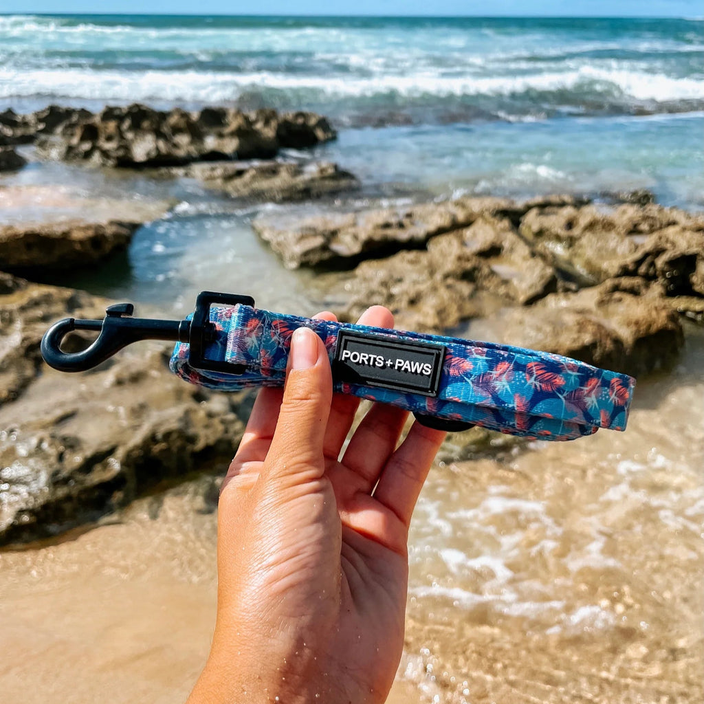 Maui Leash